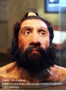 Homo Neanderthalensis Spreads through Eurasia