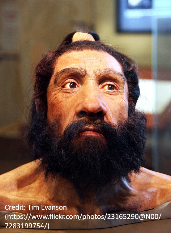 Homo Neanderthalensis Spreads through Eurasia