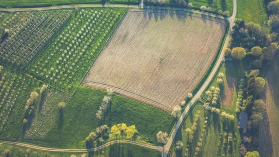 The Global Quest for Farmland