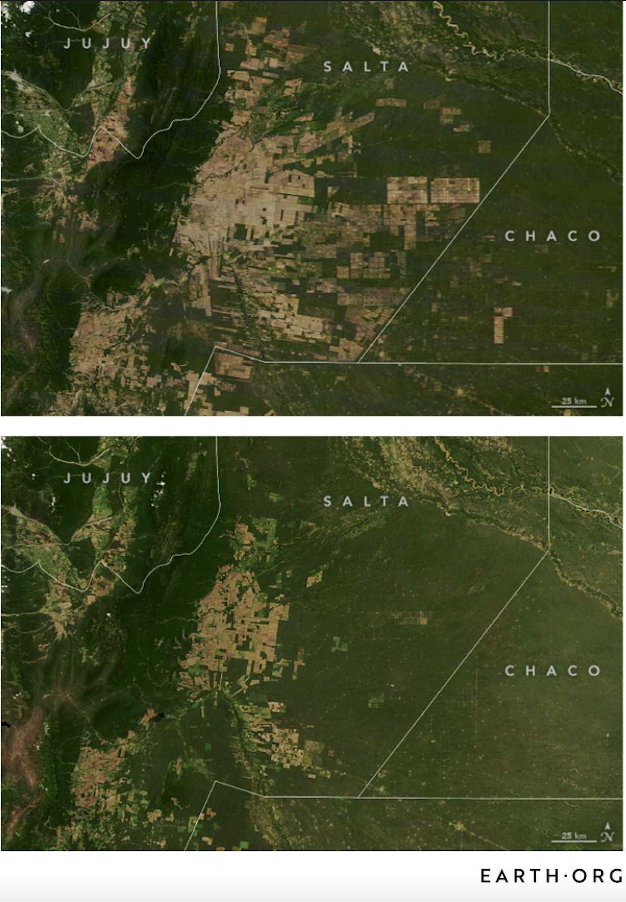 Gran Chaco Deforestation