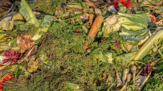 Tackling the Food Waste Crisis in Singapore