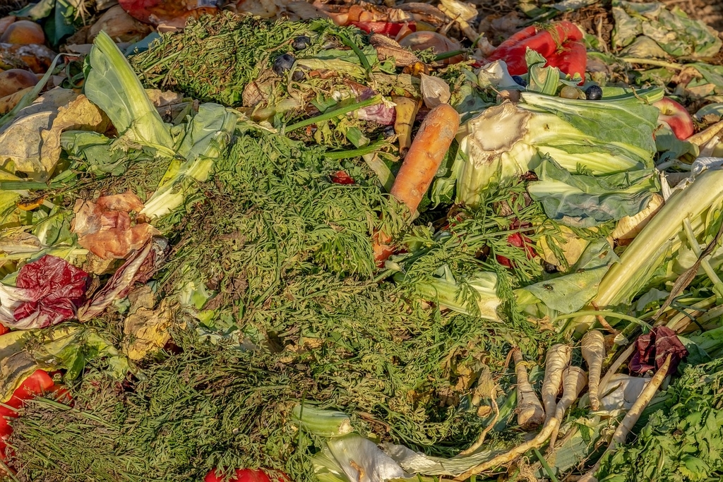 Tackling the Food Waste Crisis in Singapore