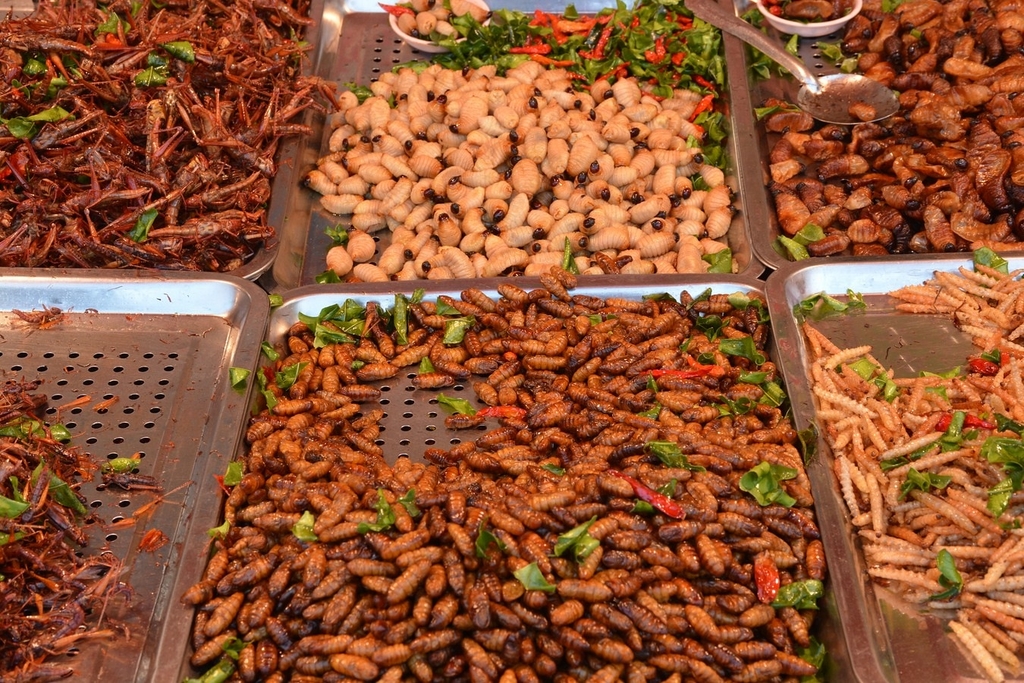 Entomophagy: An Easy-To-Digest Solution to Save the Planet