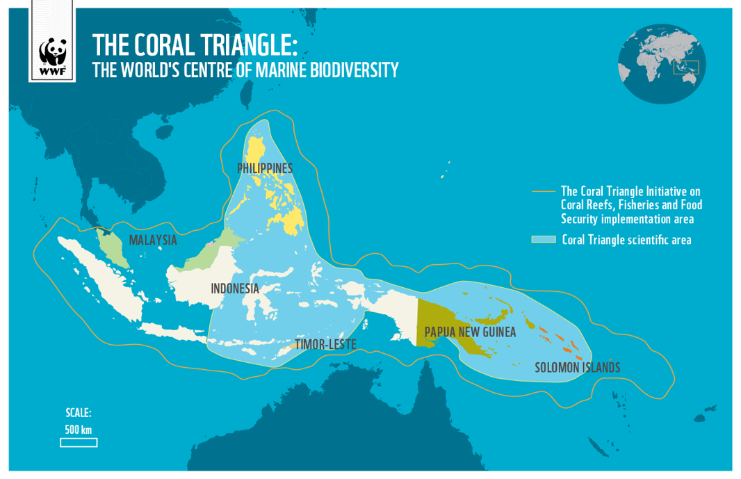 what is the coral triangle?