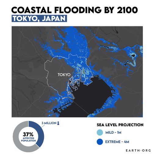 tokyo sea level rise projection map
