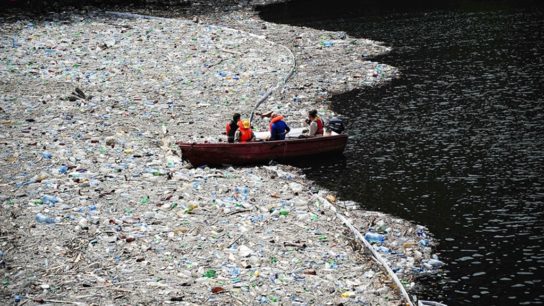 How Plastic-Eating Bacteria Can Save Our Oceans