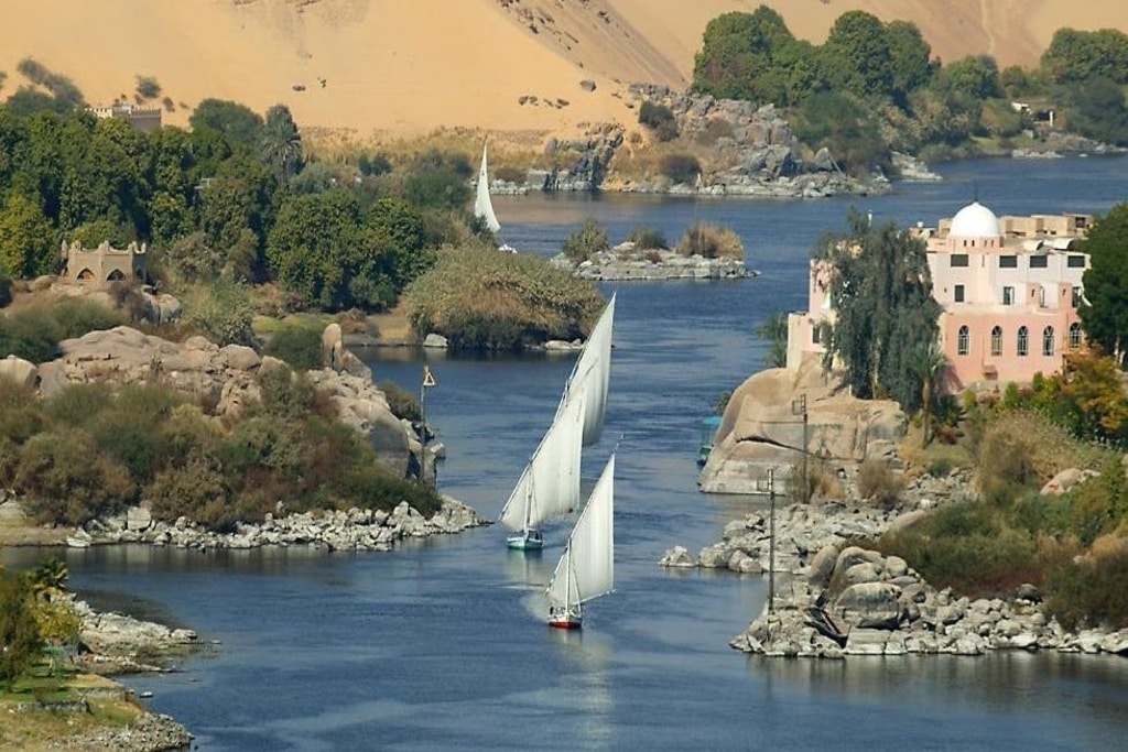 Alarm as Report Finds 75% of Fish in The Nile River Contain Microplastics