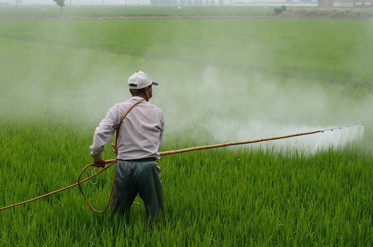 Brazil pesticides