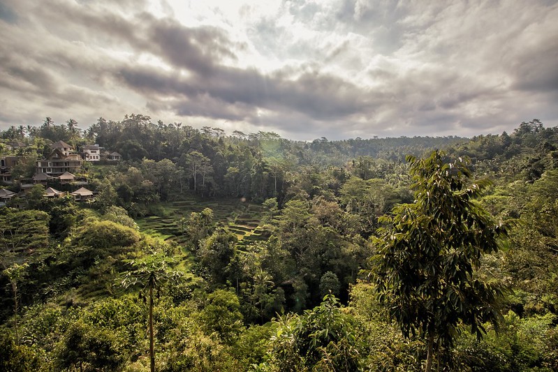 Indonesia to Receive $56m Payment from Norway for Reducing Deforestation