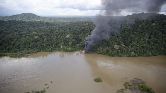 Amazon Fires May be Worse in 2020 as Deforestation and Land Grabbing Spikes