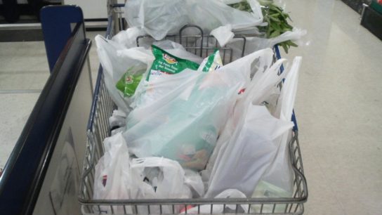 Japan Tackles Plastic Waste by Charging Shoppers for Plastic Bags