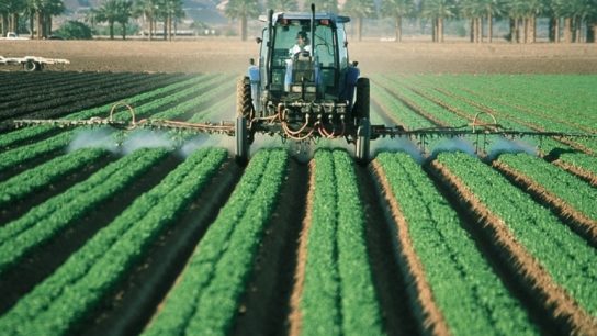 The Ongoing Issue of Pesticide Safety