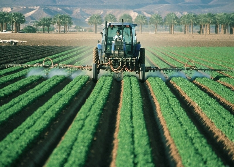 The Ongoing Issue of Pesticide Safety