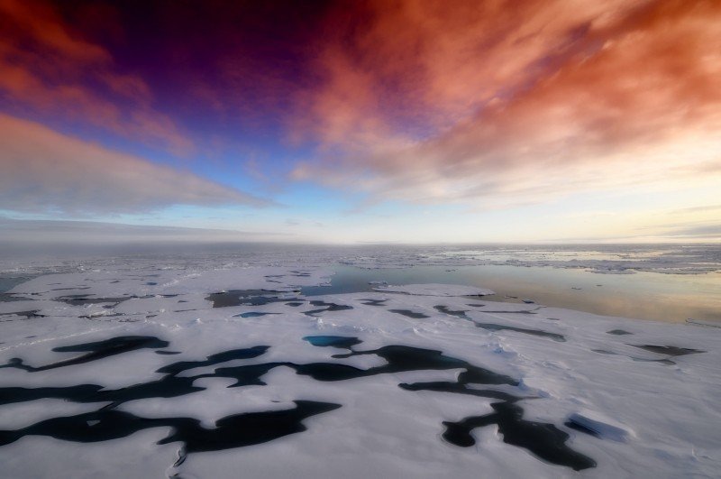 covid-19 arctic ice melt