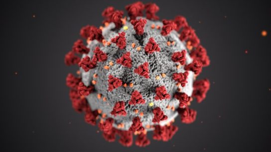 The Climate Crisis Will Cause Once-Dormant Viruses to Reemerge
