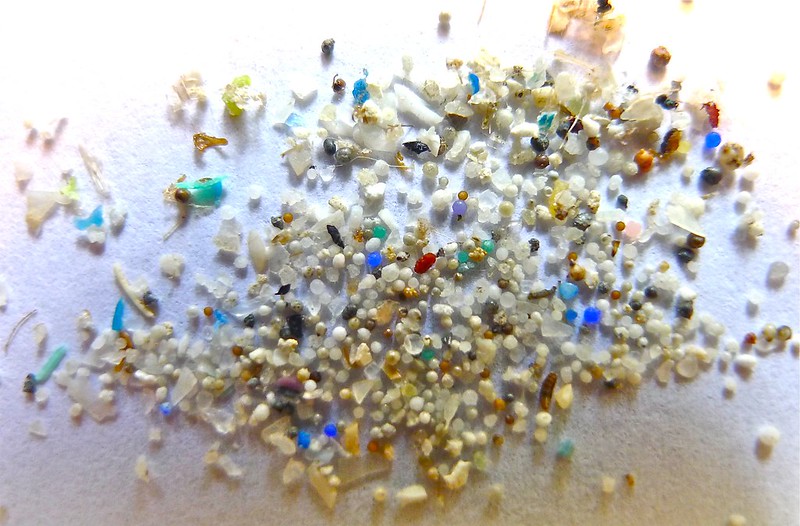 New Research Finds That Microplastic is Now Discoverable in Human Organs
