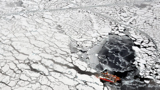 Canada’s Last Intact Ice Shelf Has Collapsed