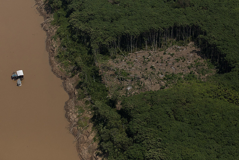 Brazil Says No Halt to Amazon Protections, Making a U-Turn On an Earlier Decision