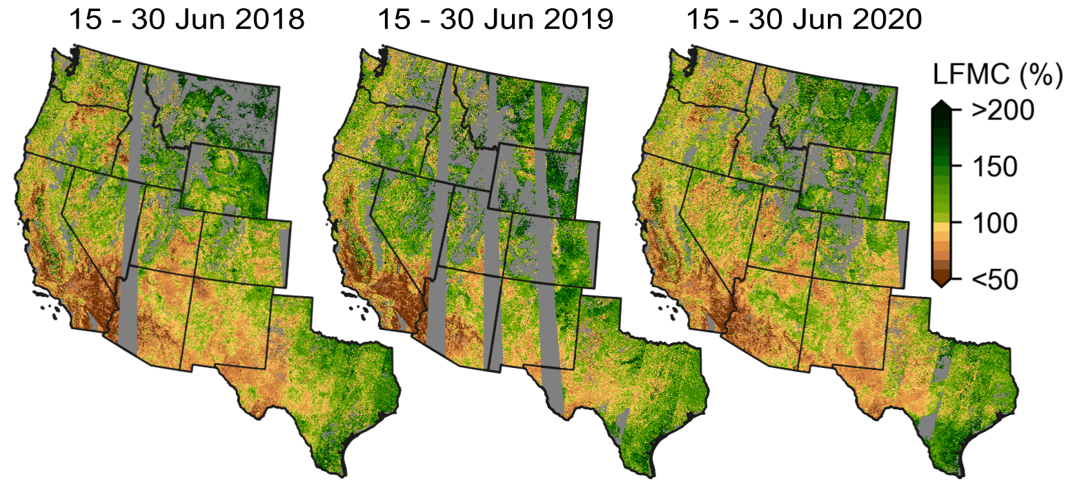 Western US forest dryness