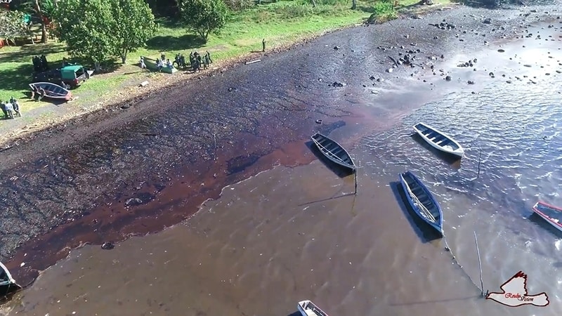 Oil Spill in Mauritius Threatens to Devastate Local Biodiversity