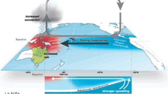 Explainer: What Are El Niño and La Niña?