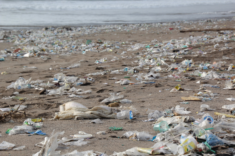 Ocean Plastic Pollution Is On Track to Triple By 2040