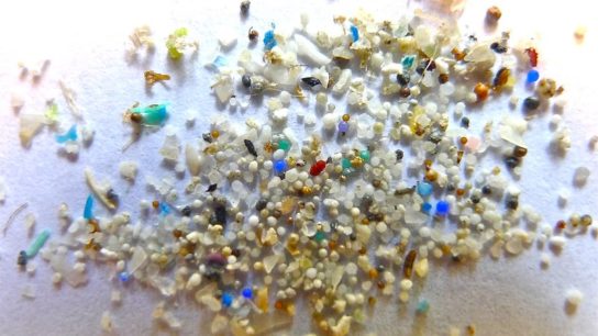 Microplastic Found in Human Blood for the First Time