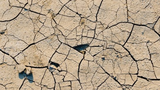 Coinciding Droughts and Heatwaves To Become More Common