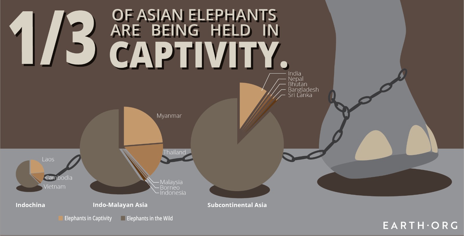 Asian elephants in captivity statistics
