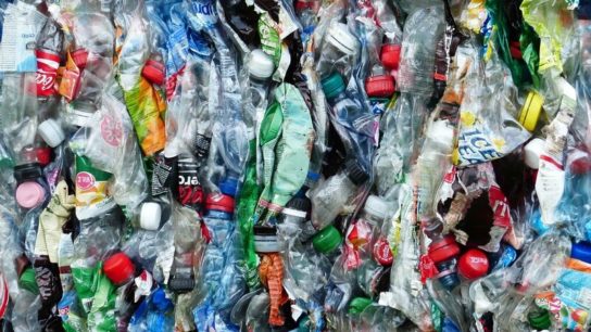 What Goes Around Comes Around: The Plastic Cycle
