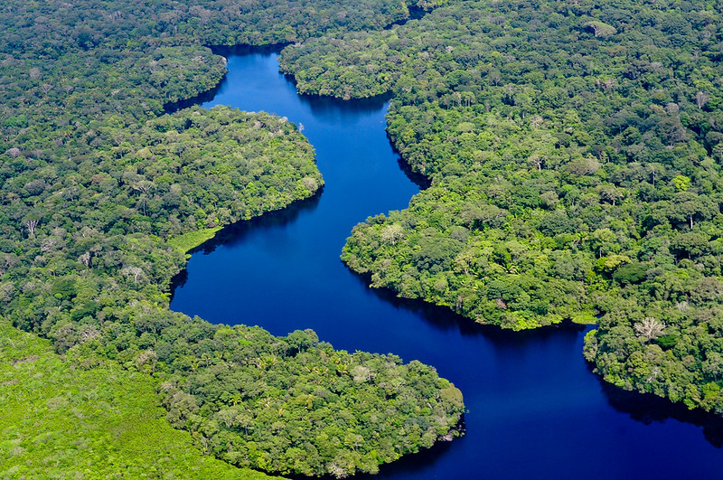 Larger Part of Amazon at Risk of Crossing Tipping Point Than Previously Thought- Study