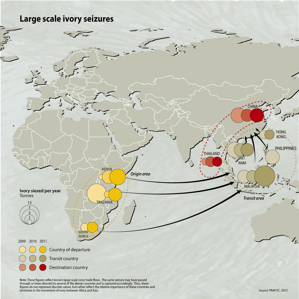 illegal ivory seizures