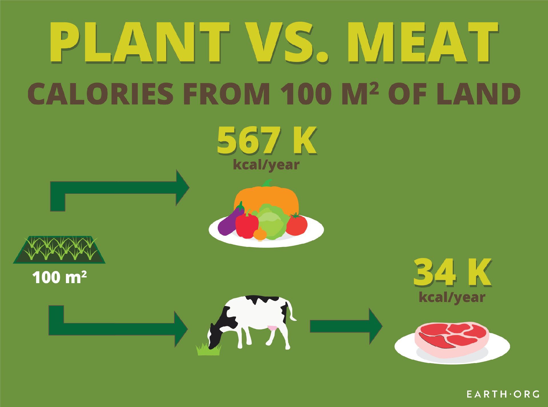 plant versus meat calorie comparison