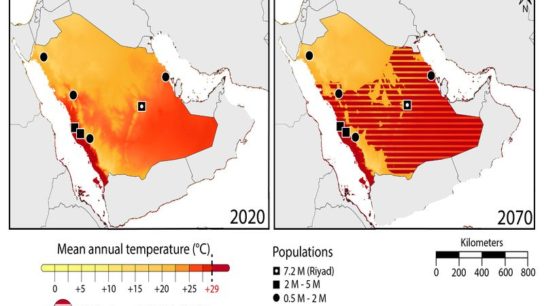 2021 Wrap-Up: Deadly Heat in Saudi Arabia