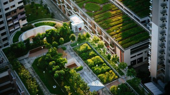 How Cities Can Learn From Each Other to Become More Green