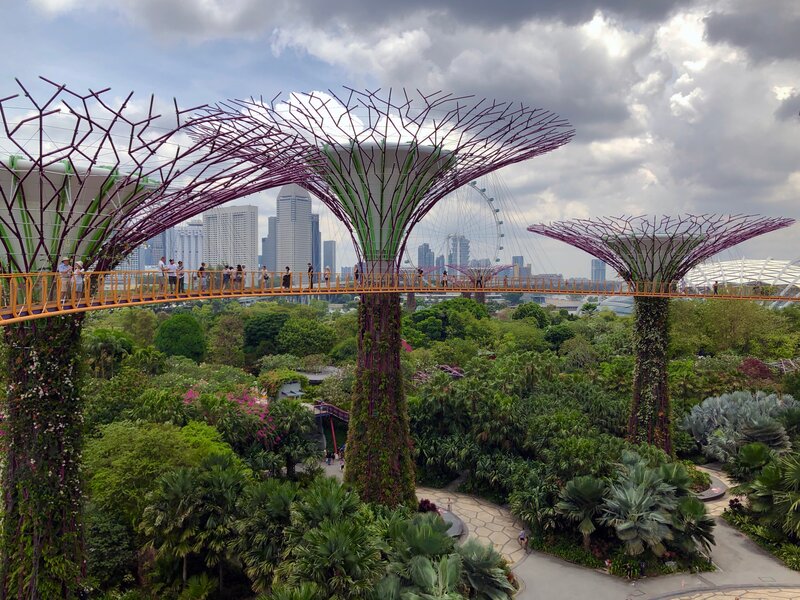 Singapore Plans to Plant A Million Trees by 2030