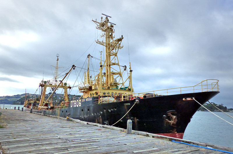 What is Illegal, Unreported and Unregulated (IUU) Fishing?