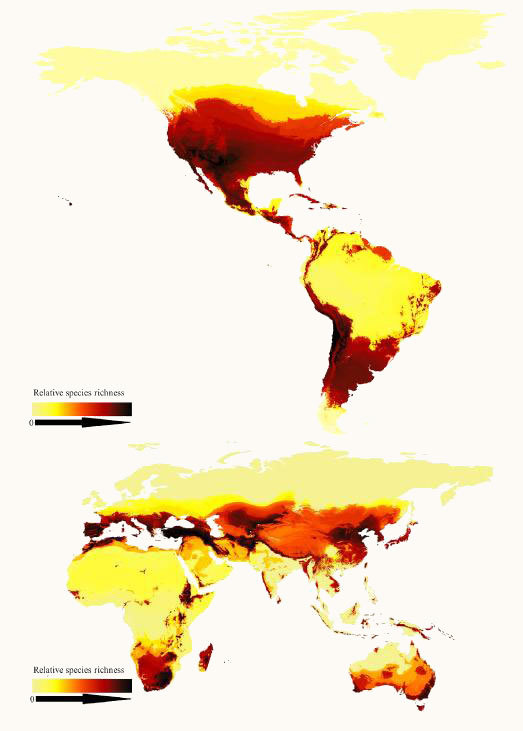 map distribution bees