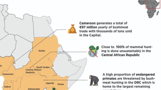 Mapping the African Bushmeat Crisis