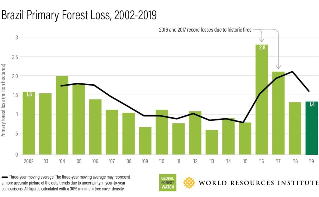 brazil primary forest loss 2019