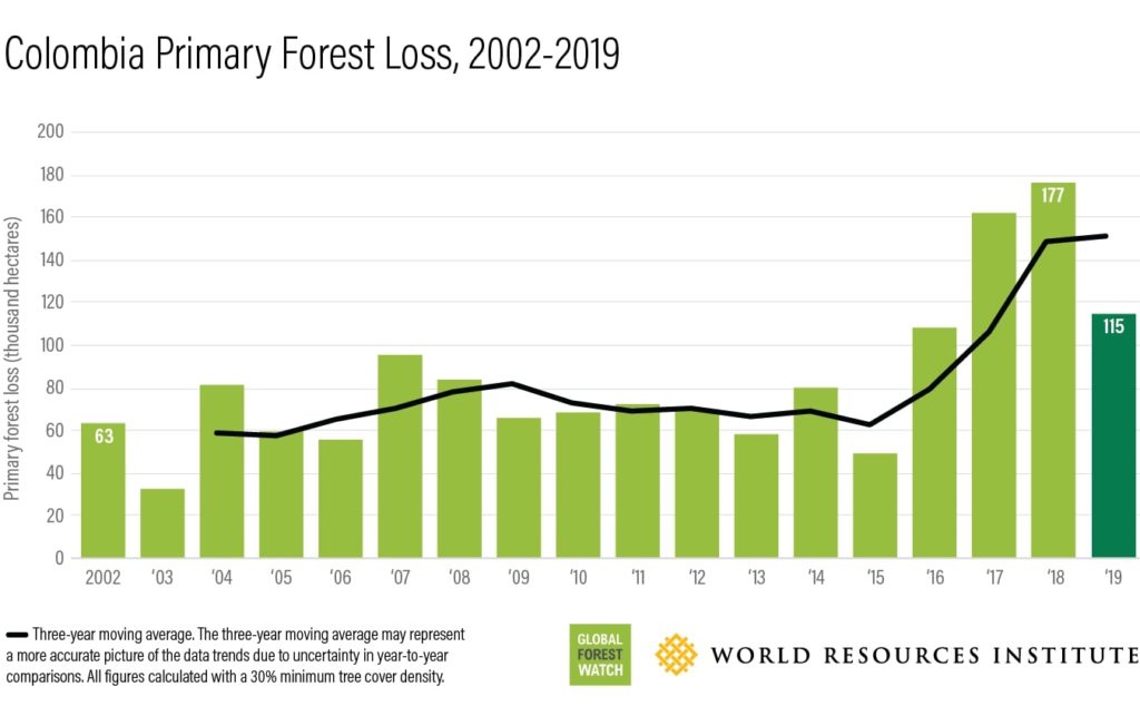 colombia primary forest loss 2002-2019