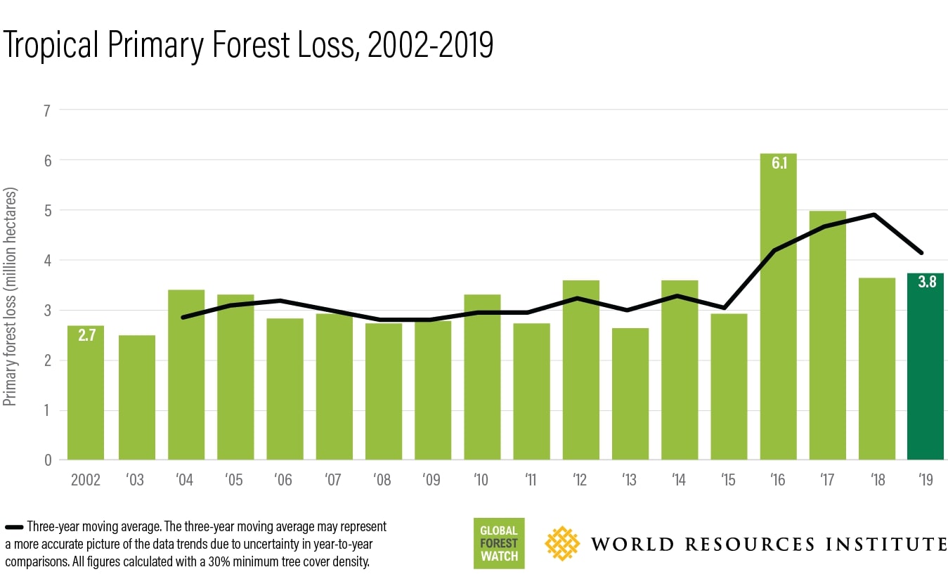 global tropical primary forest loss 2019