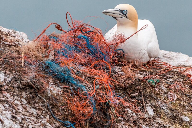 Up to a Million Tons of Ghost Fishing Nets Enter the Oceans Each Year- Study