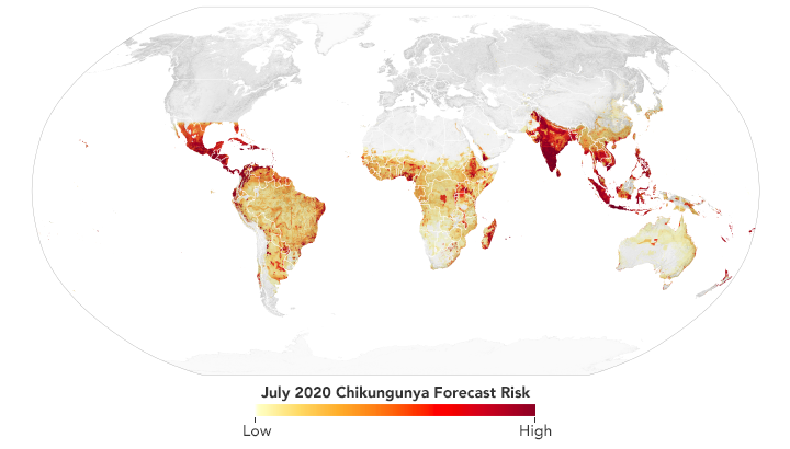 chikungunya outbreak prediction prevention satellites