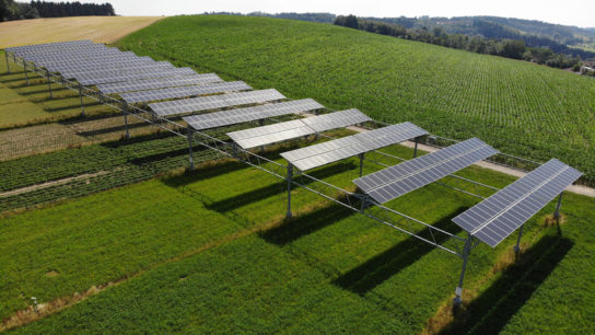 Agrophotovoltaics: The Benefits of Solar Agriculture