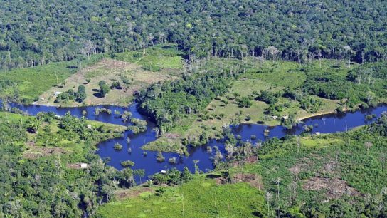Deforestation in Brazilian Amazon Soars to a 12-Year High