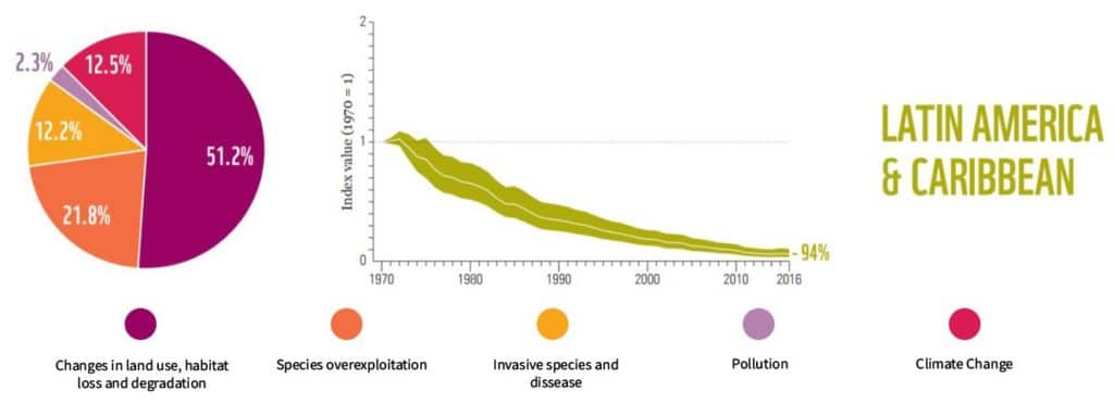 latin america and caribbean biodiversity loss living planet report 2020