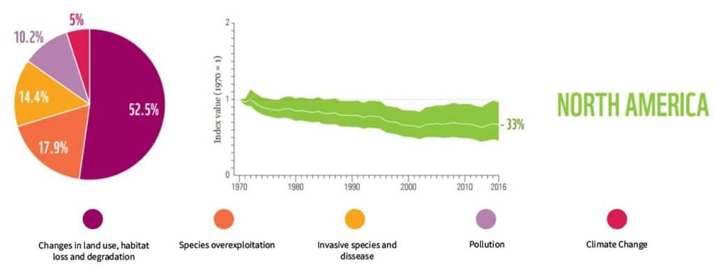 The Statistics of Biodiversity Loss [2020 WWF Report] 