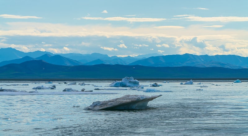 Trump Readies Last-Minute Auctions in Arctic Wildlife Refuge to Oil Drillers