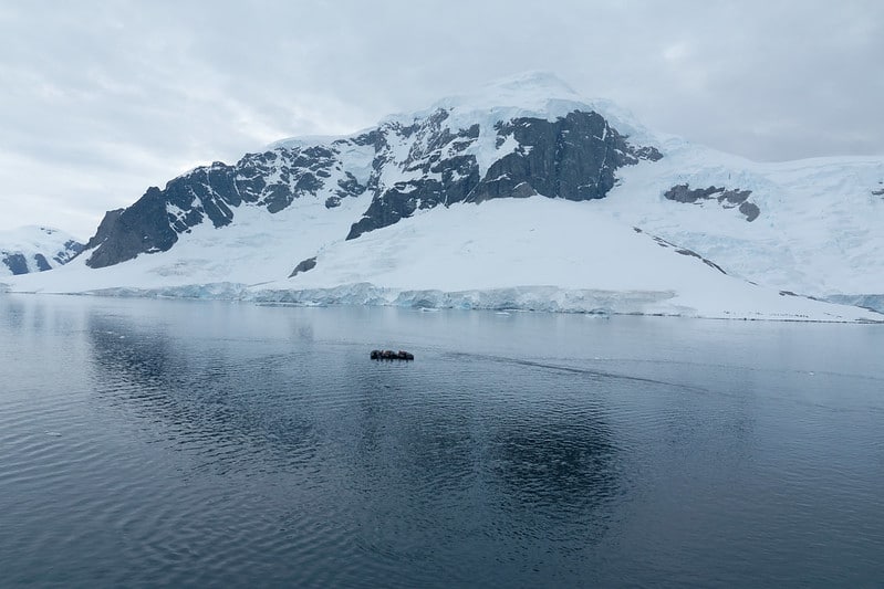 Antarctic Ice Melt Increasing Iron in the Oceans: What Does This Mean?